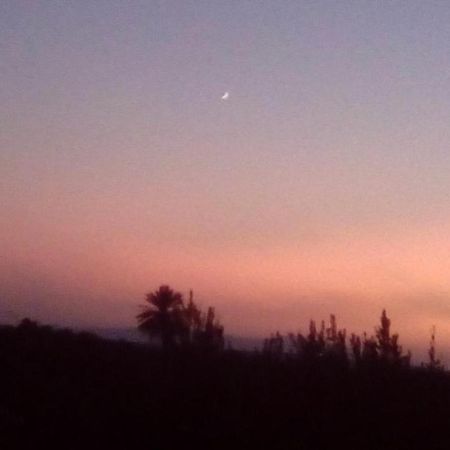 فندق Ferme Walila Fertassa المظهر الخارجي الصورة